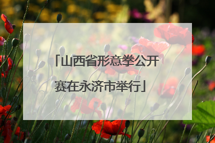 山西省形意拳公开赛在永济市举行