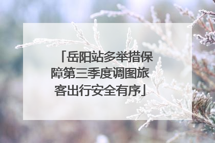 岳阳站多举措保障第三季度调图旅客出行安全有序