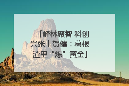 峰林聚智 科创兴张丨贺健：葛根渣里“炼”黄金