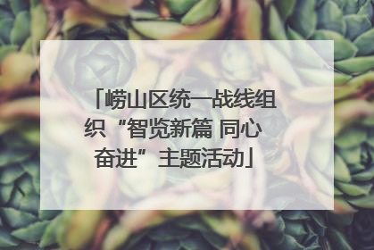 崂山区统一战线组织“智览新篇 同心奋进”主题活动
