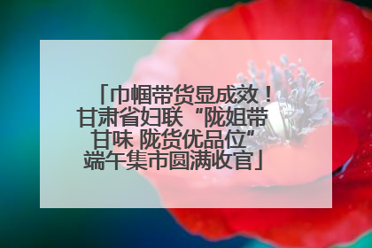 巾帼带货显成效！甘肃省妇联“陇姐带甘味 陇货优品位”端午集市圆满收官