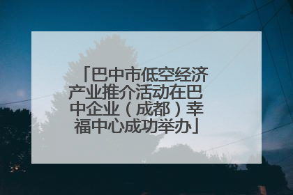 巴中市低空经济产业推介活动在巴中企业（成都）幸福中心成功举办