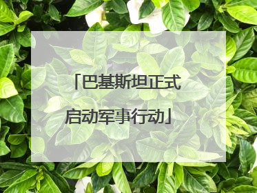 巴基斯坦正式启动军事行动