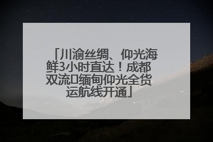 川渝丝绸、仰光海鲜3小时直达！成都双流⇌缅甸仰光全货运航线开通