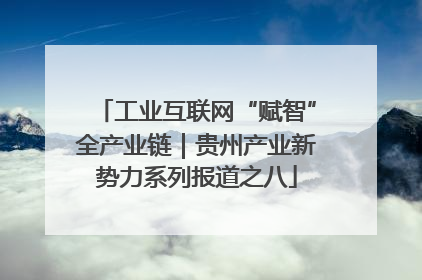 工业互联网“赋智”全产业链｜贵州产业新势力系列报道之八