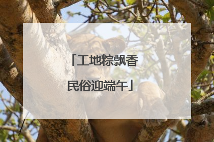 工地粽飘香 民俗迎端午