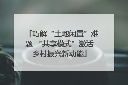巧解“土地闲置”难题 “共享模式”激活乡村振兴新动能