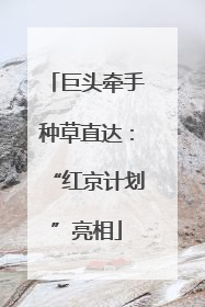 巨头牵手种草直达：“红京计划”亮相