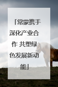 常蒙携手深化产业合作 共塑绿色发展新动能