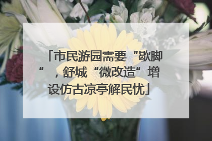 市民游园需要“歇脚”，舒城“微改造”增设仿古凉亭解民忧