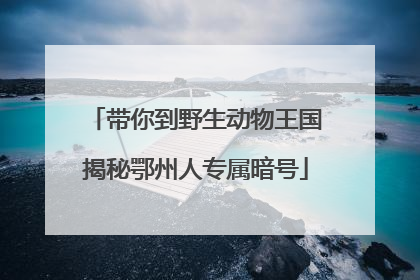 带你到野生动物王国揭秘鄂州人专属暗号