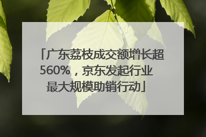 广东荔枝成交额增长超560%，京东发起行业最大规模助销行动