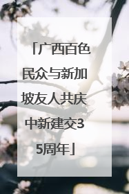 广西百色民众与新加坡友人共庆中新建交35周年