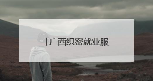 广西织密就业服务保障网 精准帮扶青年就业