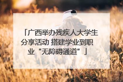 广西举办残疾人大学生分享活动 搭建学业到职业“无障碍通道”