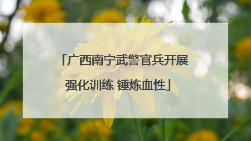 广西南宁武警官兵开展强化训练 锤炼血性
