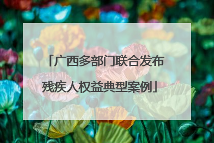 广西多部门联合发布残疾人权益典型案例