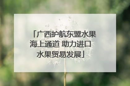 广西护航东盟水果海上通道 助力进口水果贸易发展