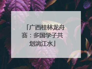 广西桂林龙舟赛：多国学子共划漓江水