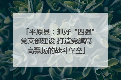 平原县：抓好“四强”党支部建设 打造党旗高高飘扬的战斗堡垒