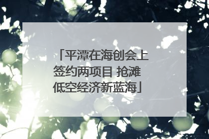 平潭在海创会上签约两项目 抢滩低空经济新蓝海