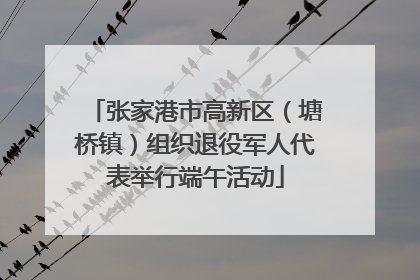 张家港市高新区（塘桥镇）组织退役军人代表举行端午活动