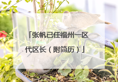 张帆已任福州一区代区长（附简历）