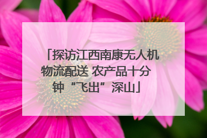 探访江西南康无人机物流配送 农产品十分钟“飞出”深山