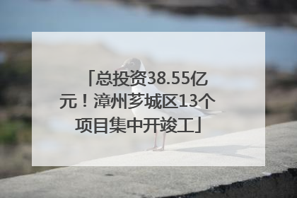总投资38.55亿元！漳州芗城区13个项目集中开竣工