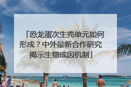恐龙蛋次生壳单元如何形成？中外最新合作研究揭示生物成因机制