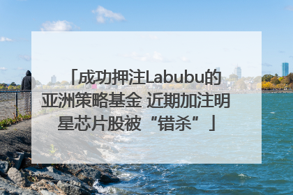 成功押注Labubu的亚洲策略基金 近期加注明星芯片股被“错杀”