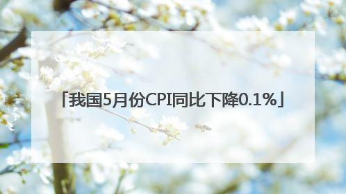 我国5月份CPI同比下降0.1%
