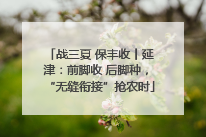 战三夏 保丰收丨延津：前脚收 后脚种，“无缝衔接”抢农时