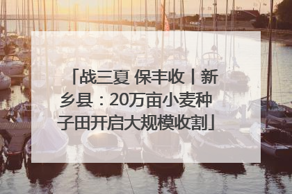 战三夏 保丰收丨新乡县：20万亩小麦种子田开启大规模收割