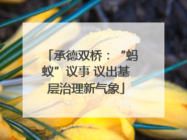 承德双桥：“蚂蚁”议事 议出基层治理新气象