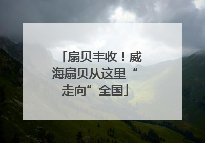 扇贝丰收！威海扇贝从这里“走向”全国