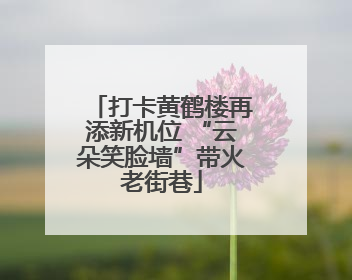 打卡黄鹤楼再添新机位 “云朵笑脸墙”带火老街巷