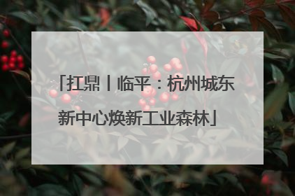 扛鼎丨临平：杭州城东新中心焕新工业森林