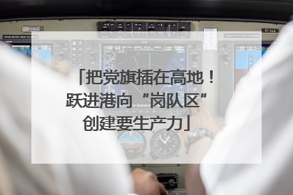 把党旗插在高地！跃进港向“岗队区”创建要生产力
