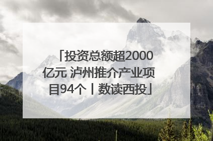 投资总额超2000亿元 泸州推介产业项目94个丨数读西投