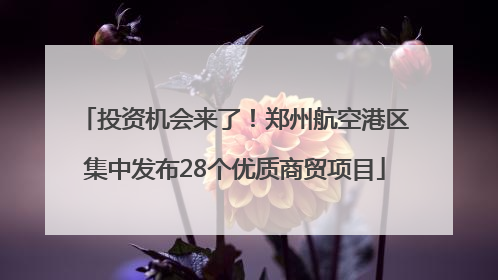 投资机会来了！郑州航空港区集中发布28个优质商贸项目