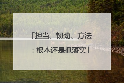 担当、韧劲、方法：根本还是抓落实