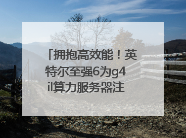 拥抱高效能！英特尔至强6为g4il算力服务器注入强大动力