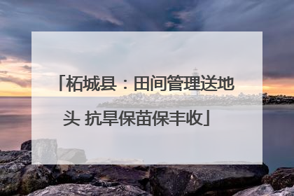 柘城县：田间管理送地头 抗旱保苗保丰收