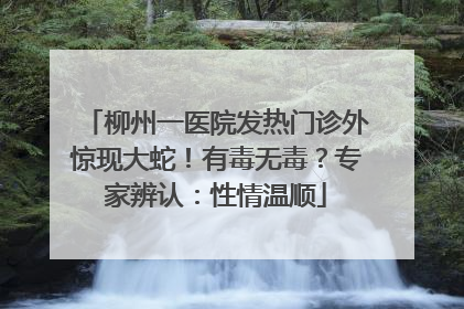 柳州一医院发热门诊外惊现大蛇！有毒无毒？专家辨认：性情温顺