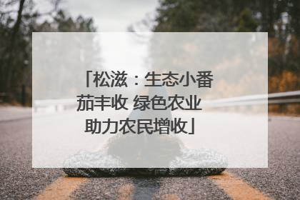 松滋：生态小番茄丰收 绿色农业助力农民增收