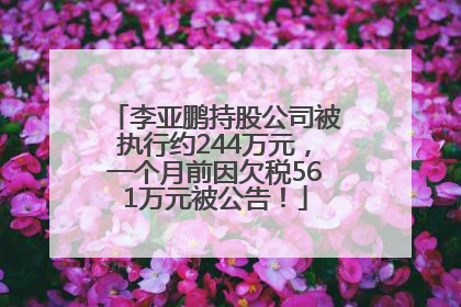 李亚鹏持股公司被执行约244万元，一个月前因欠税561万元被公告！