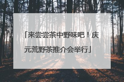 来尝尝茶中野味吧！庆元荒野茶推介会举行