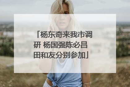杨东奇来我市调研 杨国强陈必昌田和友分别参加