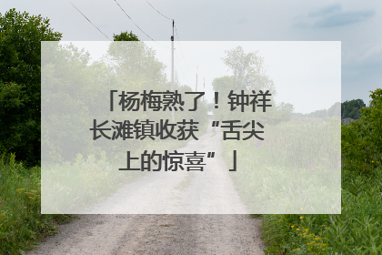 杨梅熟了！钟祥长滩镇收获“舌尖上的惊喜”